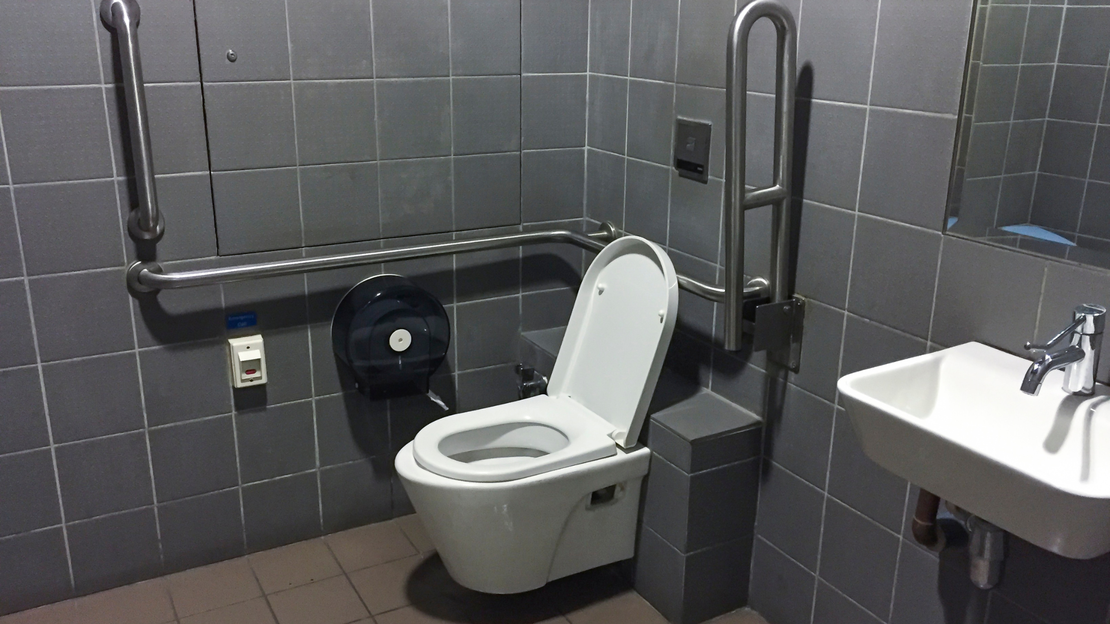 Incorporating Grab Bars and Rails