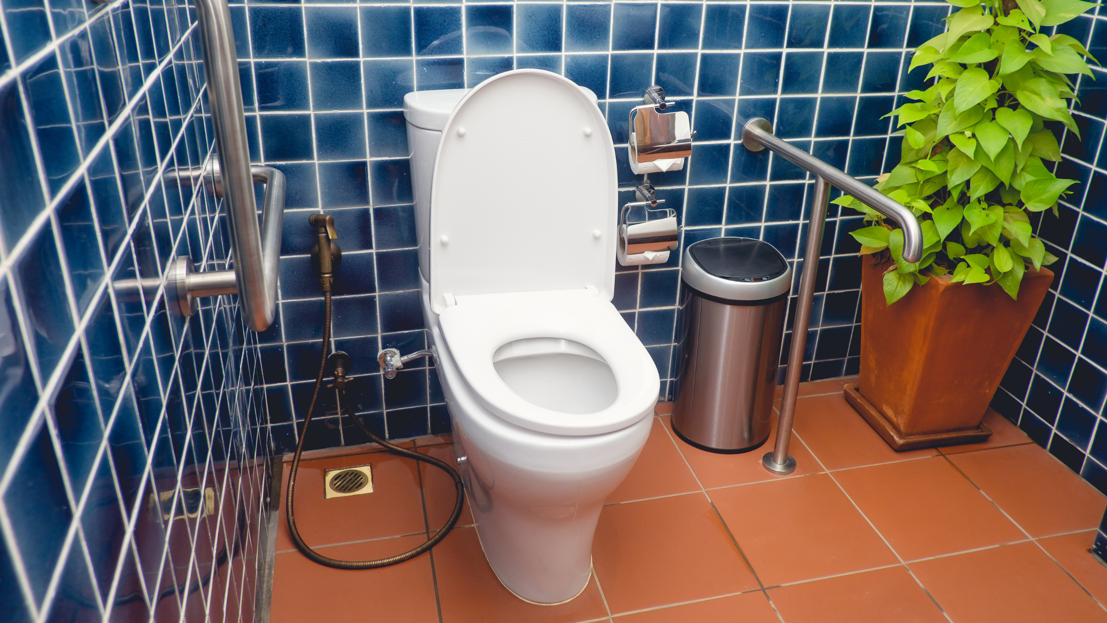 Toilet Modifications for the Elderly